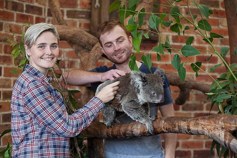Private Tour: Blue Mountains Day Trip From Sydney - Attractions Perth 0