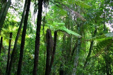 Private Tour: Blue Mountains Day Trip From Sydney - Attractions Perth 4