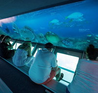 Great Barrier Reef Day Cruise to Reefworld - Attractions Perth