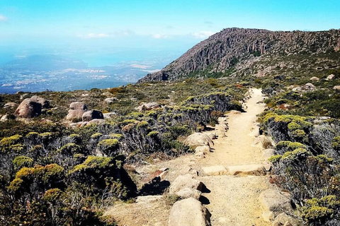 Mount Wellington Ultimate Experience Tour From Hobart - Attractions Perth 5