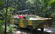 Kuranda Rainforest Station, Scenic Railway And Skyrail Tour - thumb 2