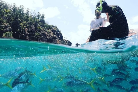 2 Night Small Group Whitsundays Sailing Adventure Aboard Mandrake - Attractions Perth 5