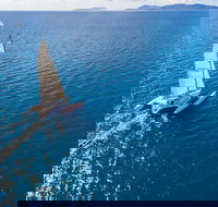 2-Night Whitsunday Islands Sailing Adventure on Trimaran Avatar - Attractions Perth