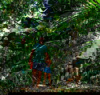 Full Day Daintree Rainforest and Mossman Gorge Tour - Attractions Perth