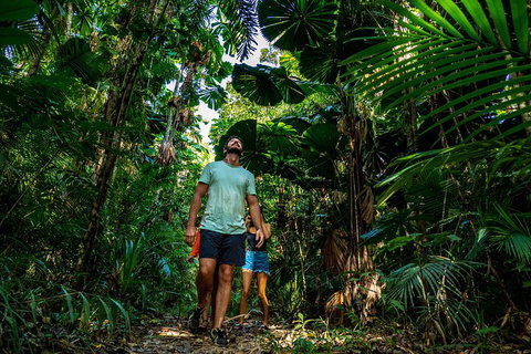 Full Day Daintree Rainforest And Mossman Gorge Tour - Attractions Perth 0