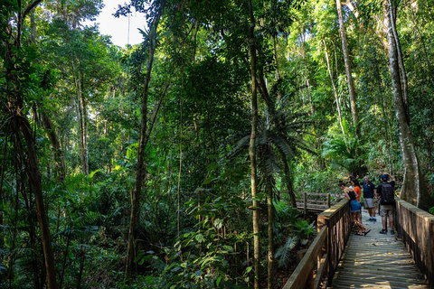 Full Day Daintree Rainforest And Mossman Gorge Tour - Attractions Perth 5