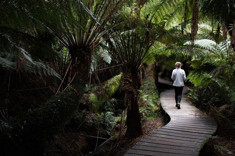 Private Tour Of Melbourne - Attractions Perth 2