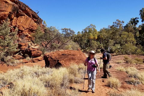 Palm Valley And Hermannsburg 1 Day 4WD Tour - Attractions Perth 1