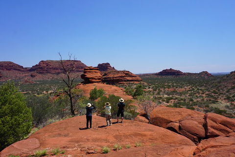 Palm Valley And Hermannsburg 1 Day 4WD Tour - Attractions Perth 2
