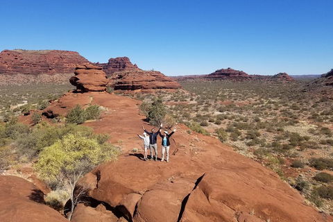 Palm Valley And Hermannsburg 1 Day 4WD Tour - Attractions Perth 3