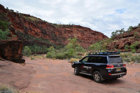 Palm Valley And Hermannsburg 1 Day 4WD Tour - Attractions Perth 5