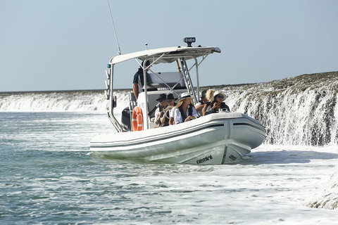 Cygnet Bay Explorer - Attractions Perth 2