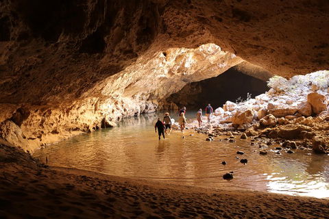 Windjana Explorer - Attractions Perth 0