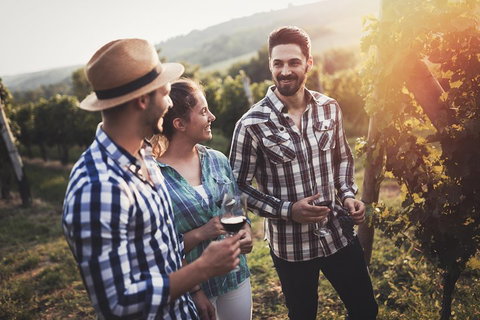 Full Day Mount Tamborine Winery Tour From Gold Coast - Attractions Perth 5