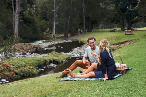 Mt Tamborine - Hinterland Wonders Self Guided - Attractions Perth 0