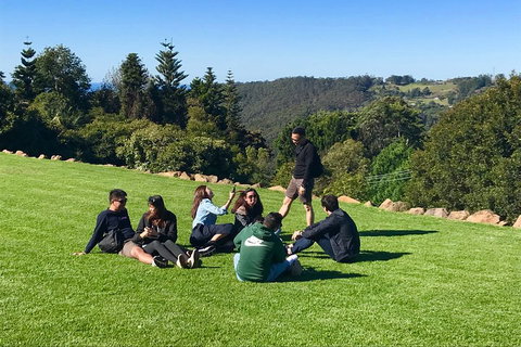 Mt Tamborine - Hinterland Wonders Self Guided - Attractions Perth 1