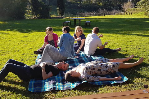 Mt Tamborine - Hinterland Wonders Self Guided - Attractions Perth 2