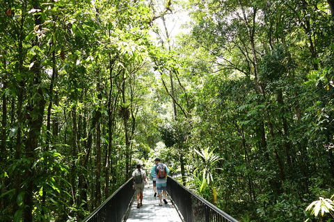 Daintree Dreaming Traditional Aboriginal Fishing From Cairns Or Port Douglas - Attractions Perth 3