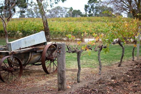 Maggie Beer Farm - Barossa Valley Regional Tour - Attractions Perth 1