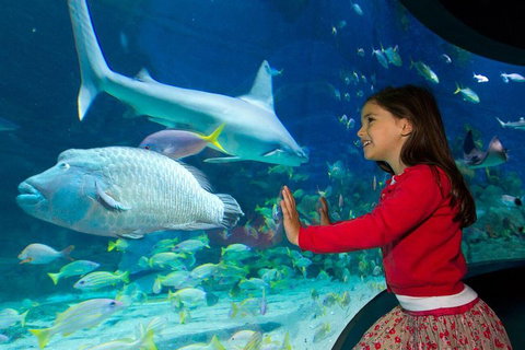 SEA LIFE Melbourne Aquarium Admission Ticket - Attractions Perth 1