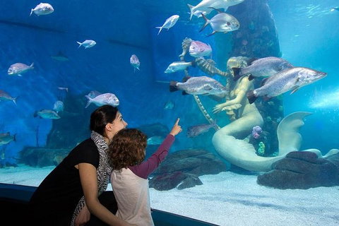 SEA LIFE Melbourne Aquarium Admission Ticket - Attractions Perth 4