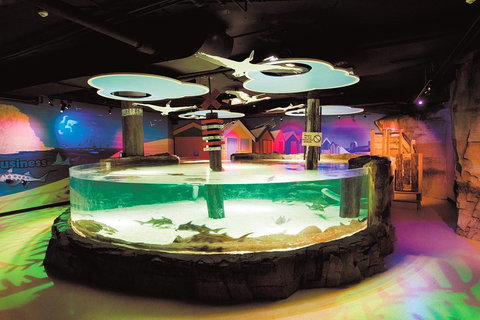 SEA LIFE Melbourne Aquarium Admission Ticket - Attractions Perth 5