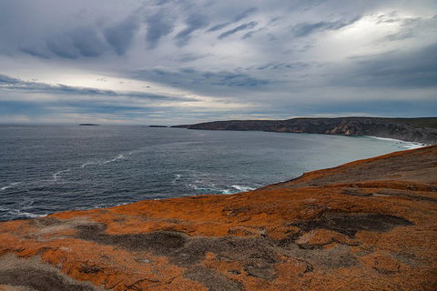 Kangaroo Island Luxury Small Group 'Flinders Chase Focus' Full Day Tour - Attractions Perth 0