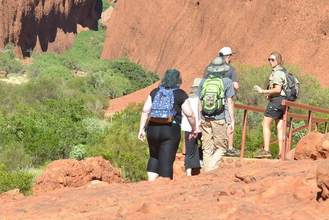 Afternoon Kata Tjuta Small Group Tour - Attractions Perth 0