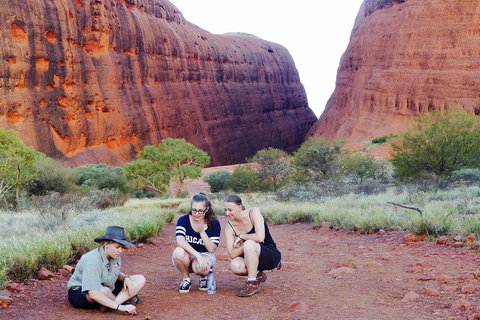 Afternoon Kata Tjuta Small Group Tour - Attractions Perth 2