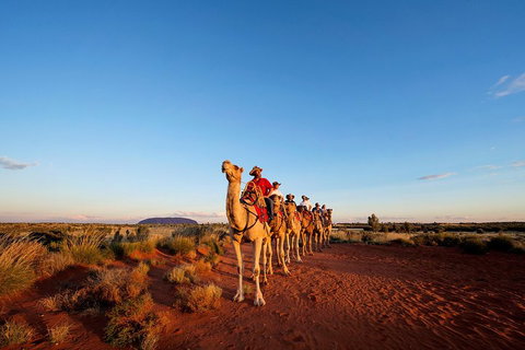 Uluru Small-Group Tour By Camel At Sunrise Or Sunset - Attractions Perth 3