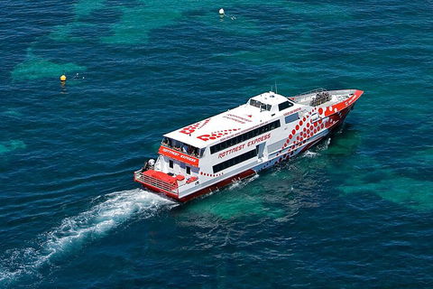 Discover Rottnest With Ferry & Bus Tour From Perth Or Fremantle - Attractions Perth 3