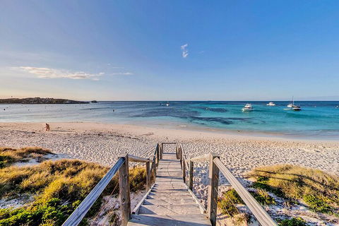 Discover Rottnest With Ferry & Bus Tour From Perth Or Fremantle - Attractions Perth 4