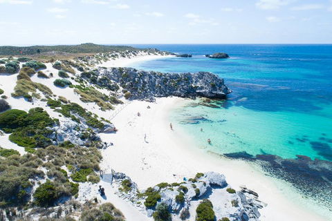 Discover Rottnest With Ferry & Bus Tour From Perth Or Fremantle - Attractions Perth 5