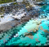 Rottnest Island Round-Trip Ferry from Perth or Fremantle - Attractions Perth