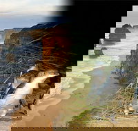 Melbourne Super Saver Great Ocean Road  Phillip Island  Attraction Pass - Attractions Perth