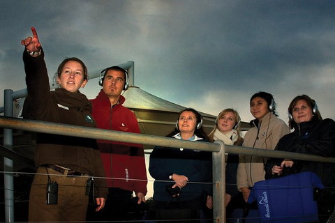 Phillip Island Penguin Parade Express Tour From Melbourne - Attractions Perth 1