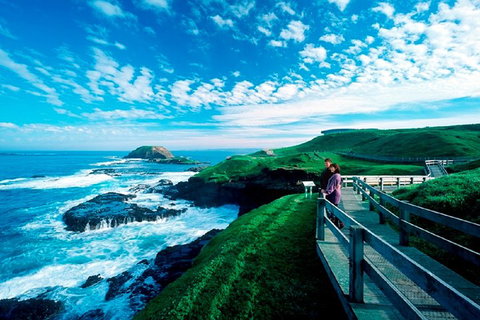 Phillip Island Penguin Parade Express Tour From Melbourne - Attractions Perth 4