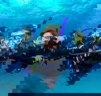 Great Barrier Reef Diving and Snorkeling Cruise from Cairns - Attractions Perth