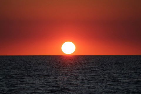 Roebuck Bay Snubfin Dolphin Cruise - Attractions Perth 3
