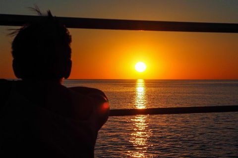 Roebuck Bay Snubfin Dolphin Cruise - Attractions Perth 4