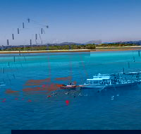 Ocean Free Green Island  Great Barrier Reef Snorkel Cruise Cairns 25 guests - Attractions Perth