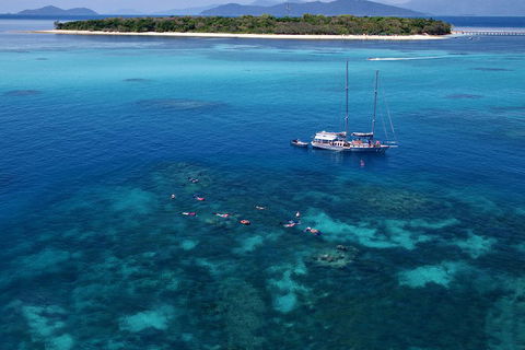 Ocean Free Green Island & Great Barrier Reef Snorkel Cruise, Cairns 25 Guests - Attractions Perth 2