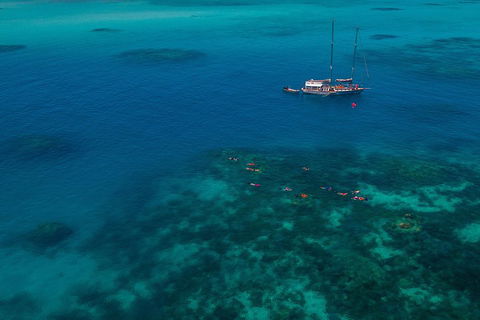 Ocean Free Green Island & Great Barrier Reef Snorkel Cruise, Cairns 25 Guests - Attractions Perth 5