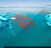 Ocean Freedom Great Barrier Reef Personal Luxury Snorkel  Dive Cruise Cairns - Attractions Perth
