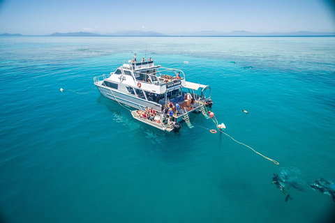 Ocean Freedom Great Barrier Reef Personal Luxury Snorkel & Dive Cruise, Cairns - Attractions Perth 0