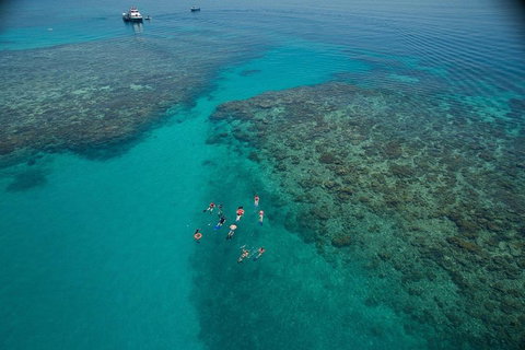 Ocean Freedom Great Barrier Reef Personal Luxury Snorkel & Dive Cruise, Cairns - Attractions Perth 3
