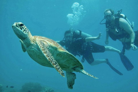 Ocean Freedom Great Barrier Reef Personal Luxury Snorkel & Dive Cruise, Cairns - Attractions Perth 4