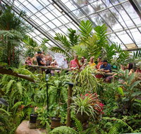 Australian Butterfly Sanctuary - Attractions Perth