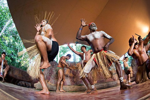 Kuranda Highlights Including Rainforestation Aboriginal Culture And Wildlife - Attractions Perth 1