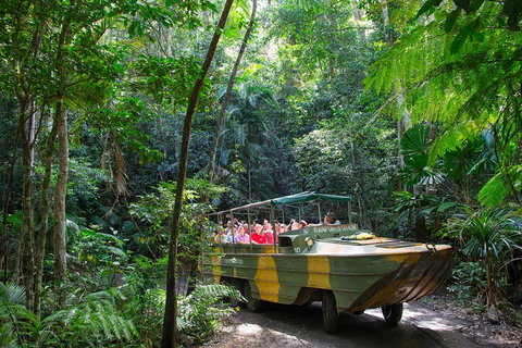 Kuranda Highlights Including Rainforestation Aboriginal Culture And Wildlife - Attractions Perth 2